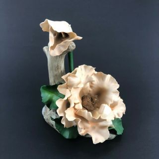 Fabar Capodimonte Porcelain Double Flower On Driftwood Sculpture - Made In Italy