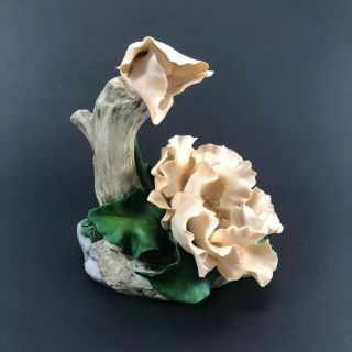 Fabar Capodimonte Porcelain Double Flower on Driftwood Sculpture - Made in Italy 2