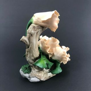 Fabar Capodimonte Porcelain Double Flower on Driftwood Sculpture - Made in Italy 3
