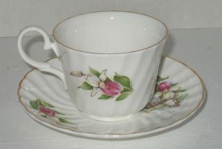 Vintage Royal Stuart Fine Bone China Tea Coffee Cup & Saucer Made in England 3