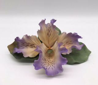 Capodimonte Porcelain Iris Flower,  Garden,  Sculpture Hand Crafted Italian