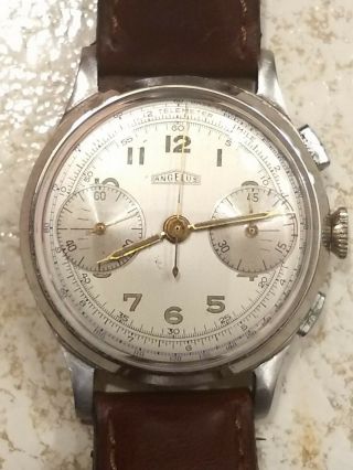 Vintage Angelus Cal.  215 Chronograph Wristwatch.  Stainless Steel Case. 2