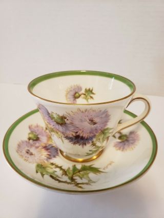 Royal Doulton Bone China Tea Cup And Saucer Glamis Thistle
