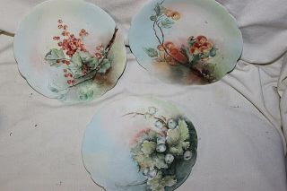 3 D & C Limoges Hand Painted Plates Fruits