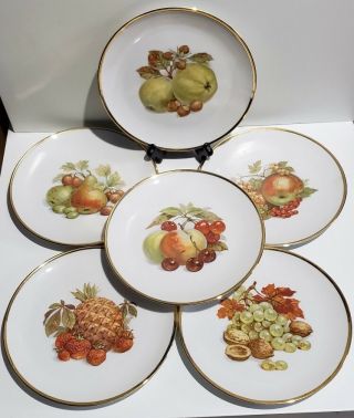 6 Vintage Bareuther Waldsassen Bavaria Germany Fruit And Nut Salad Plates 7 7/8 "