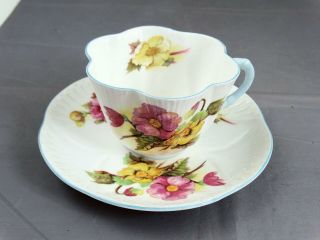 Shelley Bone China Begonia Dainty Tea Teacup Cup & Saucer C1940 
