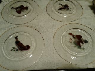 Set 4 Hand Painted Clear Glass Plates Water Fowl Patterns Gold Rims 8 3/8 " Dia.