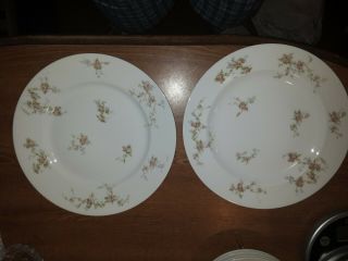 2 Theodore Haviland Limoges France Dinner Plates 9¾ " Pink Roses