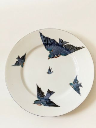 Vintage Austria Blue Bird Plate 11.  5” Vtg Serving Dish Audubon Birdwatching