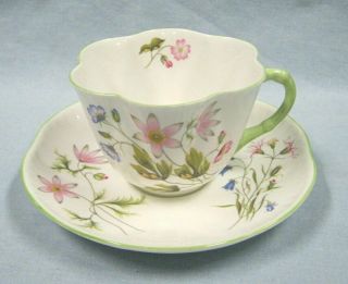 Shelley England Wild Anemone Dainty Shape Tea Cup & Saucer W/green Trim Ex.  C