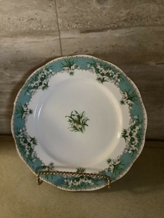 Vintage Queen Anne English Bone China Dinner Plate 10.  25” Marilyn Snowdrop