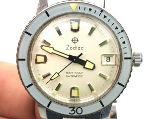 Vintage Zodiac Sea Wolf Mens Watch W/shovel Hands Signed Crown Rare Automatic