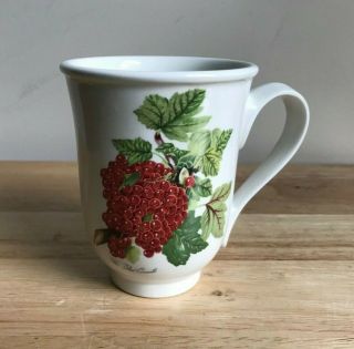 Portmeirion Pomona 4.  25 " Red Currant Beaker English Mug - England - Ec