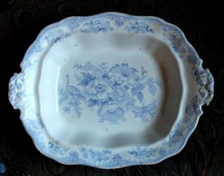 Wedgwood Asiatic Pheasant Blue Serving Dish - No Chips Or Cracks - 8 " X 10 " - 1800 