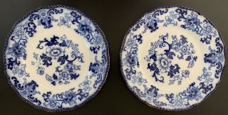 2 Royal Doulton Nankin Pattern Flow Blue 10 " Dinner Plates Gilded Edge