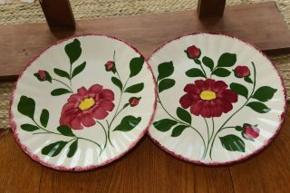 Set 2 Blue Ridge Southern Pottery Red Nocturne Colonial Flower Dinner Plates