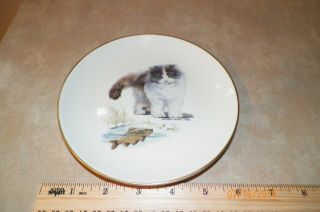 Cat And Fish Pickard China Made In Usa Signed By Monika Heller Cole 6.  5 "