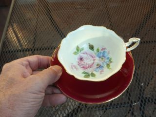 Stunning Paragon Cabbage Rose Big Flower Teacup Paragon Tea Cup Made In England