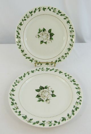 Vintage Superior Hall Quality Dinnerware " Cameo Rose " Set Of 2 Dinner Plates