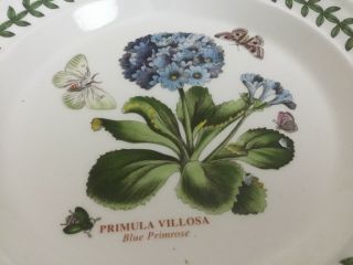Portmeirion Botanic Garden Blue Primrose 7 1/4” Bread Plate 3