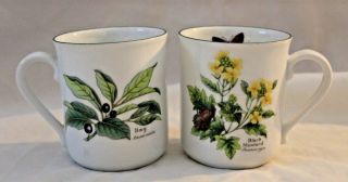 Royal Worcester Mugs Black Mustard Bay Set Of 2 Botanical Florals Green Trim