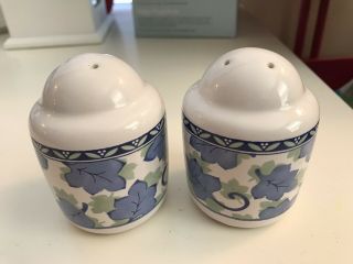 Blue Isle By Pfaltzgraff Salt And Pepper Shakers (thailand) Blue/green On White