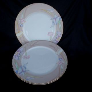 Set Of 3 Mikasa Charisma Beige Dinner Plates 10 5/8 " In