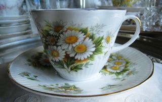 Royal Dover China.  Teacup And Saucer.  White Daisies.  Absolutely