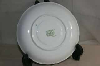 Rare Vintage Shelley bone china orphan saucer - Green Chintz with Daisies 2