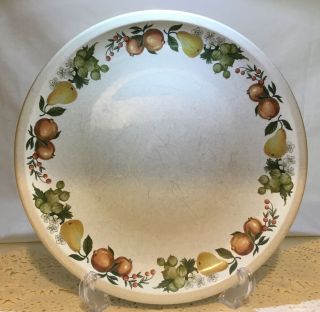 Vintage Wedgwood Stoneware Quince Dinner Plate 10 1/2 " C 1969 Good Replacements