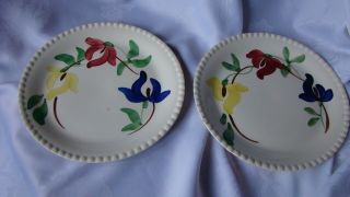 2 Blue Ridge Southern Pottery Carnival 9 1/4 " Luncheon Plate Vtg