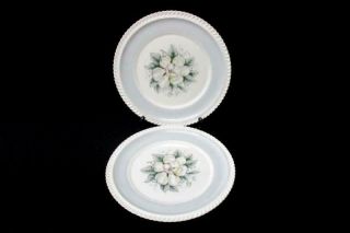 Set Of 2 Vintage Harker Pottery Royal Gadroon Magnolia 10.  5 " Dinner Plates