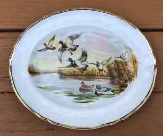 Vintage Alfred Meakin Traditional Ironstone Oval Platter Mallard Ducks Gold Trim