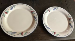 Set Of 2 Lenox Poppies On Blue 8 " Salad Plate (s) Chinastone Usa Imperfect