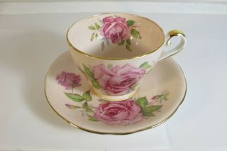 Vintage Aynsley England Pink Rose Cabbage On Pale Pink Tea Cup & Saucer Set