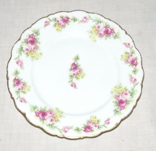 Elite Limoges France 8.  75 Inch Luncheon Dinner Plate Red Yellow Roses