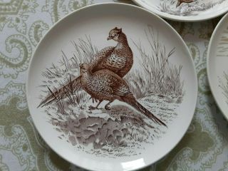 3 Vintage Copeland Spode Wild Game Birds Brown Bread and Butter Plates 2