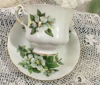 Paragon Tea Cup & Saucer Dogwood Bone China Gold Trim Canadian Flower Pattern