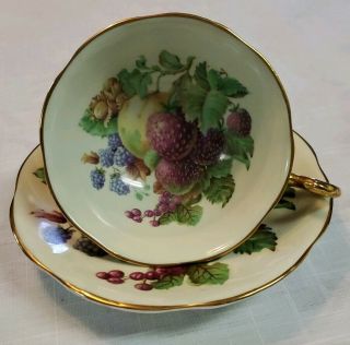 Rosina Bone China Footed Tea Cup And Saucer England Fruit Pattern Gold