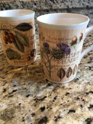 Paul Cardew Set Of 2 Coffee Tea Cup Mug England Summer Garden Autumn Shades