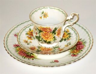 Vintage Rosina Bone China " Queens Special Flowers " Teacup And Saucer Set -