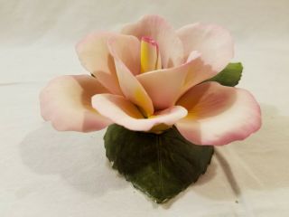 Vintage Nipoleon Capodimonte Fine Porcelain Flower Pink Rose Made In Italy