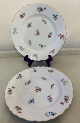 Ct Altwasser Silesia 2 Pc White & Colorful Floral 8 1/8” Scalloped Salad Plates