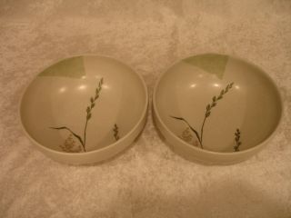 Set Of 2 Mikasa Soft Breeze Soup Cereal Bowls Cw102 Herbs Excel