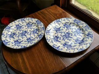 Set Of 2 Wood & Sons Colonial Blue White Rose Floral Dinner Plates England