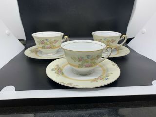 Nsp China Hand Painted Tea Cups And Saucers Made In Japan Floral Gold Trim Set