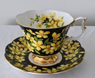 Royal Albert Flora Series Jasmine Tea Cup & Saucer Black / Yellow Flowers Chintz