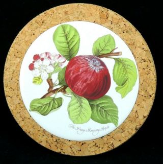 H&r Johnson Tiles The Hoary Morning Apple Trivet Pot Holder England Portmeirion