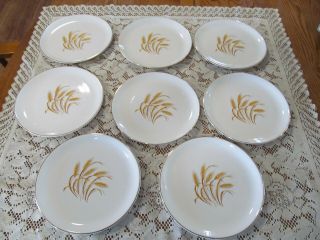 Set Of 5 Vintage Homer Laughlin Golden Wheat Dinner Plates 9.  25