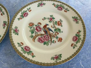 Vintage 2 Dinner Plates Whieldon Ware " Pheasant " F.  Winkle & Co England